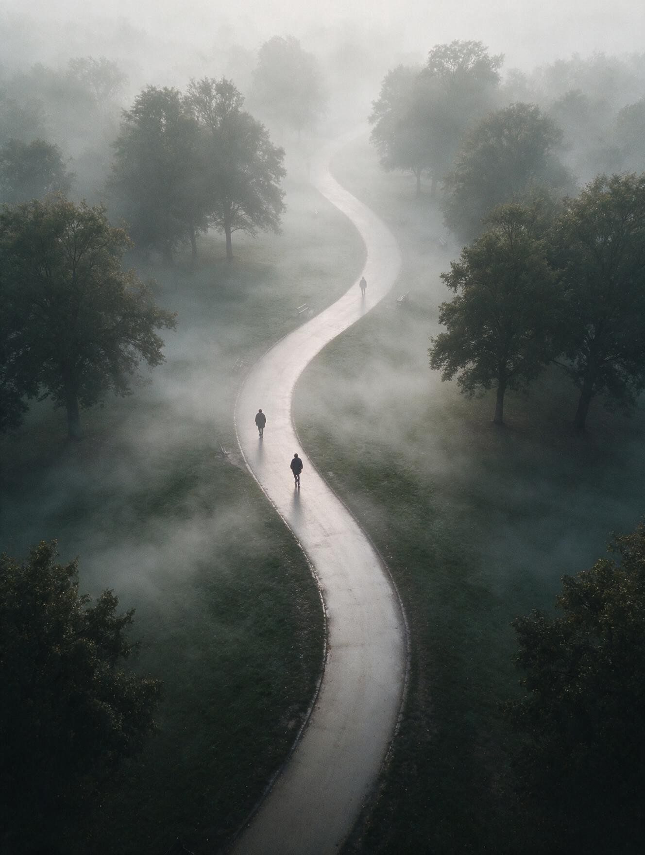 An aerial path winding through a misty landscape